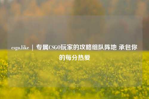 csgo.like | 专属CSGO玩家的攻略组队阵地 承包你的每分热爱