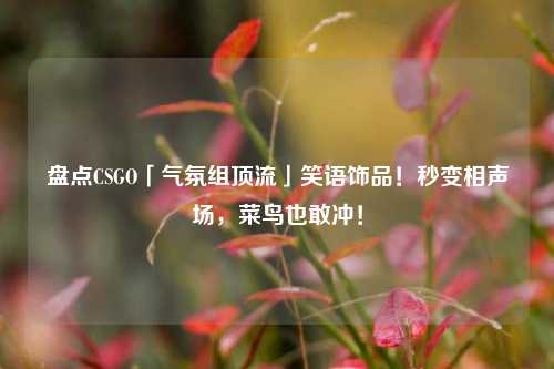 盘点CSGO「气氛组顶流」笑语饰品!秒变相声场,菜鸟也敢冲!