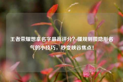 王者荣耀想拿名字最高评分?懂规则攒隐形名气的小技巧,秒变峡谷焦点!