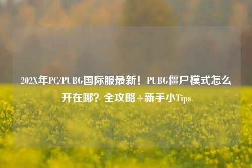 202X年PC/PUBG国际服最新!PUBG僵尸模式怎么开在哪?全攻略+新手小Tips