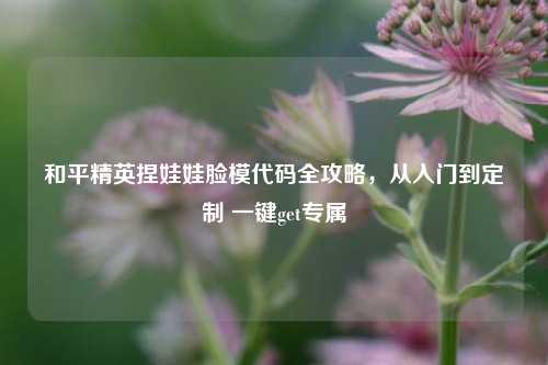 和平精英捏娃娃脸模代码全攻略,从入门到定制 一键get专属