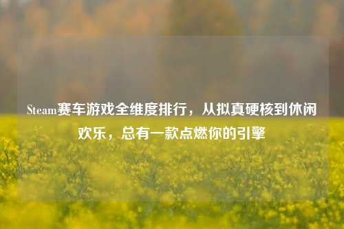 Steam赛车游戏全维度排行,从拟真硬核到休闲欢乐,总有一款点燃你的引擎