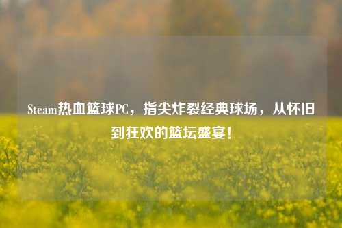 Steam热血篮球PC,指尖炸裂经典球场,从怀旧到狂欢的篮坛盛宴!