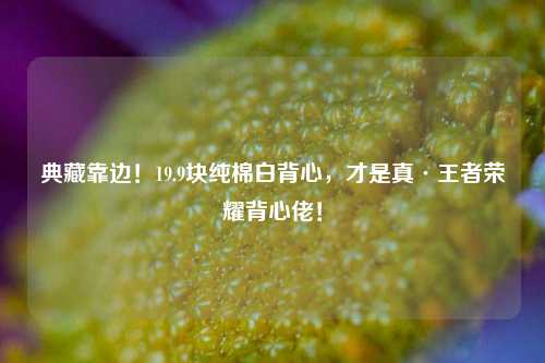 典藏靠边!19.9块纯棉白背心,才是真·王者荣耀背心佬!