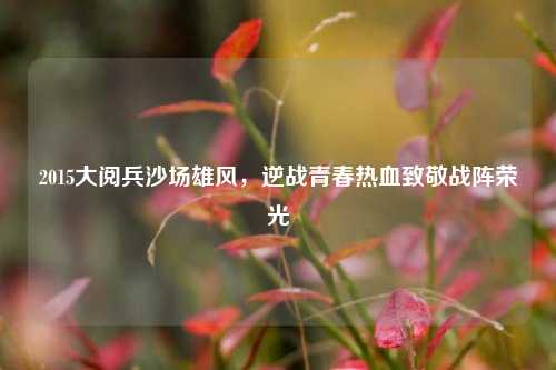 2015大阅兵沙场雄风,逆战青春热血致敬战阵荣光