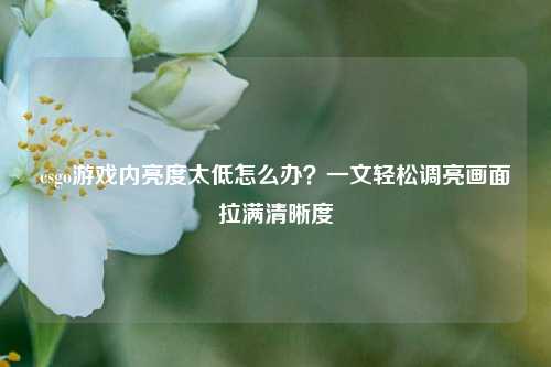 csgo游戏内亮度太低怎么办?一文轻松调亮画面拉满清晰度