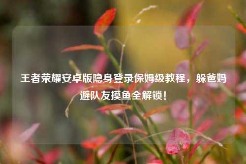 王者荣耀安卓版隐身登录保姆级教程,躲爸妈避队友摸鱼全解锁!