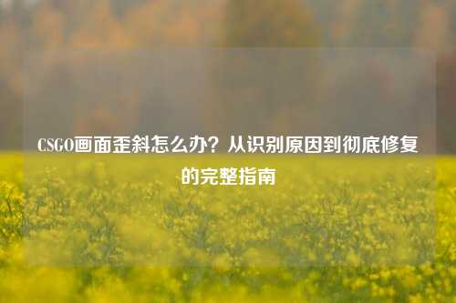 CSGO画面歪斜怎么办?从识别原因到彻底修复的完整指南