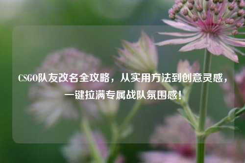 CSGO队友改名全攻略,从实用方法到创意灵感,一键拉满专属战队氛围感!
