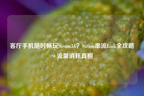 客厅手机随时畅玩Steam3A?Steam串流Link全攻略+流量消耗真相