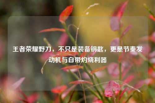 王者荣耀野刀,不只是装备钥匙,更是节奏发动机与自带灼烧利器