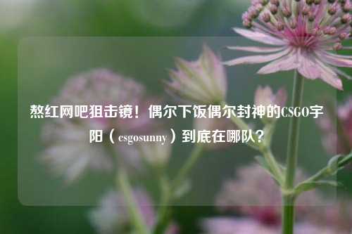 熬红网吧狙击镜!偶尔下饭偶尔封神的CSGO宇阳(csgosunny)到底在哪队?