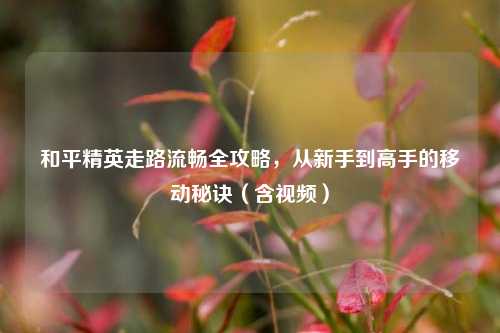和平精英走路流畅全攻略,从新手到高手的移动秘诀(含视频)