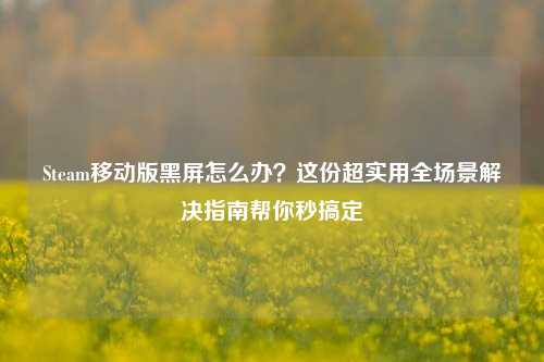 Steam移动版黑屏怎么办?这份超实用全场景解决指南帮你秒搞定