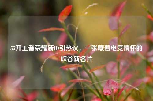55开王者荣耀新ID引热议,一张藏着电竞情怀的峡谷新名片