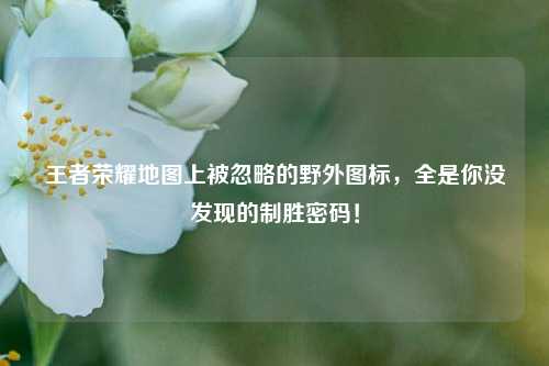 王者荣耀地图上被忽略的野外图标,全是你没发现的制胜密码!