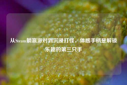 从Steam躺赢派对到沉浸打怪,体感手柄是解锁乐趣的第三只手