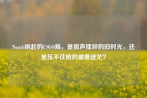 Numb响起的CSGO局,是狙声揉碎的旧时光,还是压不住枪的疲惫迷茫?