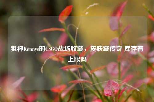 狙神Kennys的CSGO战场收藏,皮肤藏传奇 库存有上限吗