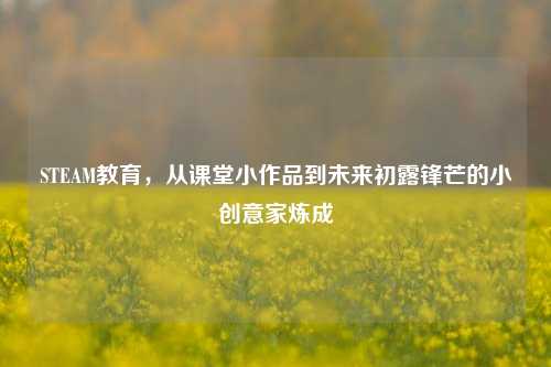 STEAM教育,从课堂小作品到未来初露锋芒的小创意家炼成