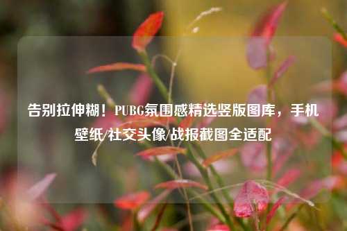 告别拉伸糊!PUBG氛围感精选竖版图库,手机壁纸/社交头像/战报截图全适配