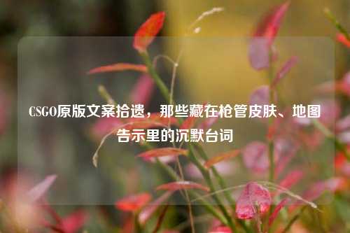 CSGO原版文案拾遗,那些藏在枪管皮肤、地图告示里的沉默台词