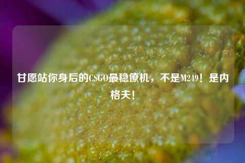 甘愿站你身后的CSGO最稳僚机,不是M249!是内格夫!