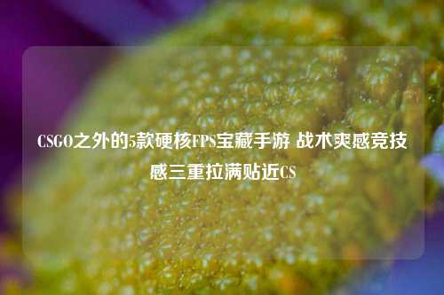 CSGO之外的5款硬核FPS宝藏手游 战术爽感竞技感三重拉满贴近CS