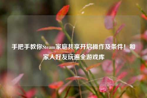 手把手教你Steam家庭共享开启操作及条件!和家人好友玩遍全游戏库