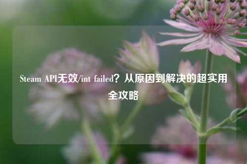 Steam API无效/int failed?从原因到解决的超实用全攻略