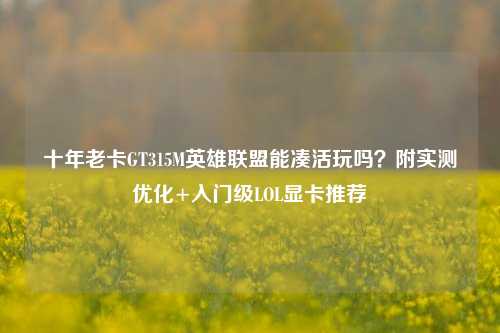 十年老卡GT315M英雄联盟能凑活玩吗?附实测优化+入门级LOL显卡推荐