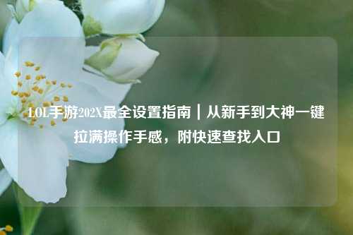 LOL手游202X最全设置指南|从新手到大神一键拉满操作手感,附快速查找入口