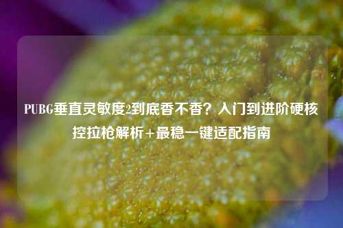 PUBG垂直灵敏度2到底香不香?入门到进阶硬核控拉枪解析+最稳一键适配指南