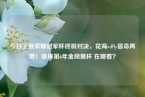 今日王者荣耀冠军杯终极对决,花海vsFly宿命再燃!谁捧第6年金凤凰杯 在哪看?