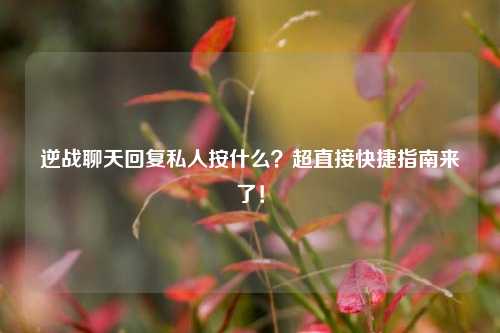 逆战聊天回复私人按什么?超直接快捷指南来了!