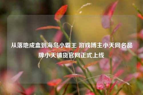 从落地成盒到海岛小霸王 游戏博主小天同名品牌小天铺货官网正式上线