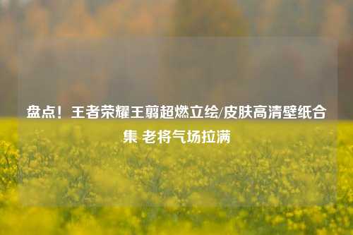 盘点!王者荣耀王翦超燃立绘/皮肤高清壁纸合集 老将气场拉满