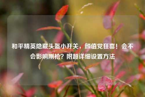 和平精英隐藏头盔小开关,颜值党狂喜!会不会影响刚枪?附超详细设置方法