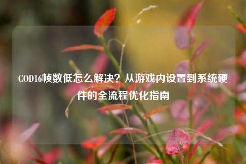 COD16帧数低怎么解决?从游戏内设置到系统硬件的全流程优化指南
