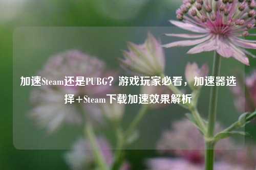 加速Steam还是PUBG?游戏玩家必看,加速器选择+Steam下载加速效果解析