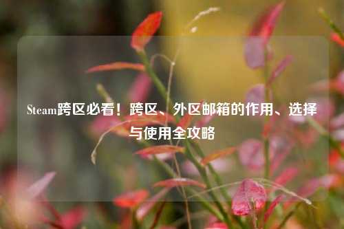 Steam跨区必看!跨区、外区邮箱的作用、选择与使用全攻略