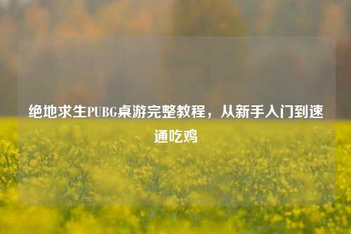 绝地求生PUBG桌游完整教程,从新手入门到速通吃鸡