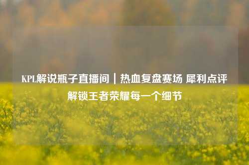 KPL解说瓶子直播间|热血复盘赛场 犀利点评解锁王者荣耀每一个细节