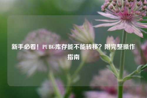 新手必看!PUBG库存能不能转移?附完整操作指南