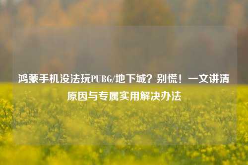 鸿蒙手机没法玩PUBG/地下城?别慌!一文讲清原因与专属实用解决办法
