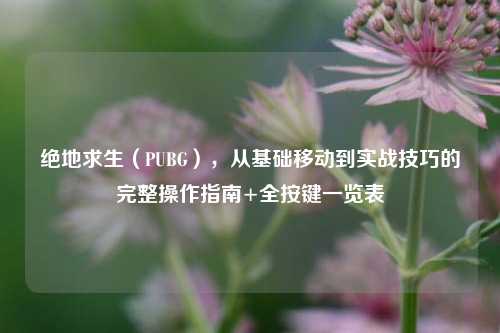 绝地求生(PUBG),从基础移动到实战技巧的完整操作指南+全按键一览表