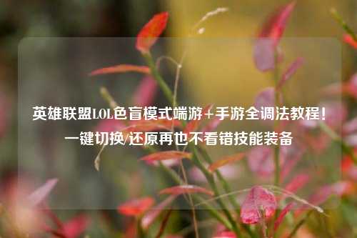 英雄联盟LOL色盲模式端游+手游全调法教程!一键切换/还原再也不看错技能装备