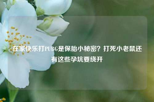 在家快乐打PUBG是保胎小秘密?打死小老鼠还有这些孕坑要绕开