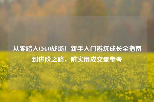 从零踏入CSGO战场!新手入门避坑成长全指南到进阶之路,附实用成交量参考