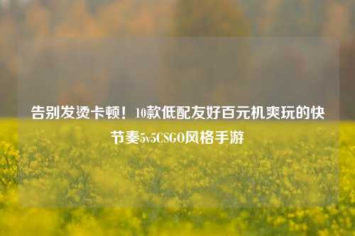 告别发烫卡顿!10款低配友好百元机爽玩的快节奏5v5CSGO风格手游